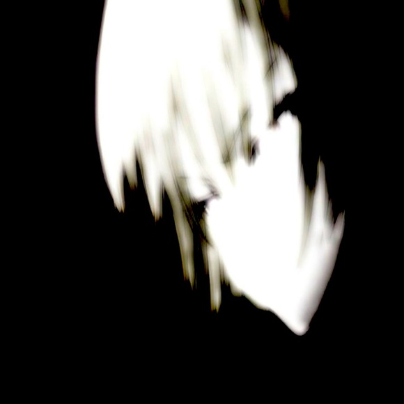 Vampxyz - Picture 10 of 14